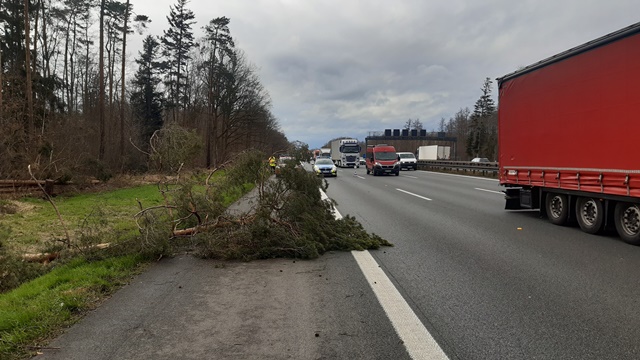 20220407_165627_resized groß.jpg